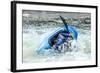 Kayak on Whitewater. Focus on Back of Kayak and Water-soupstock-Framed Photographic Print