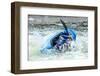 Kayak on Whitewater. Focus on Back of Kayak and Water-soupstock-Framed Photographic Print