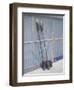 Kayak Paddles-David Madison-Framed Photographic Print