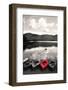 Kayak Red 2-Suzanne Foschino-Framed Photographic Print