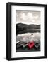 Kayak Red 2-Suzanne Foschino-Framed Photographic Print