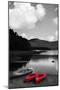 Kayak Red-Suzanne Foschino-Mounted Photographic Print