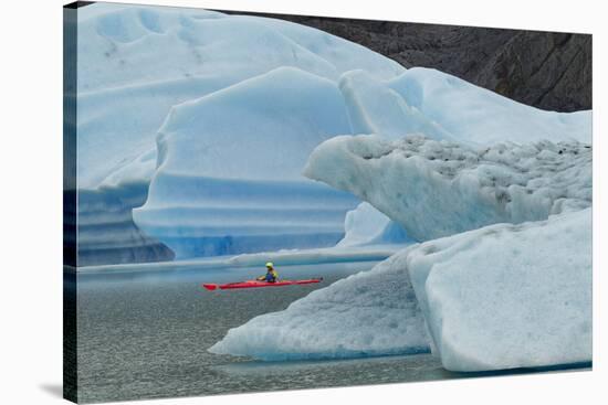 Kayaker exploring Grey Lake amid icebergs, Torres del Paine National Park, Chile, Patagonia-Adam Jones-Stretched Canvas