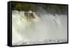 Kayaker Going over Maruia Falls, Tasman, South Island, New Zealand-David Wall-Framed Stretched Canvas