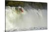 Kayaker Going over Maruia Falls, Tasman, South Island, New Zealand-David Wall-Stretched Canvas