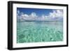 Kayaker in Blue Waters, Southwater Cay, Belize-Cindy Miller Hopkins-Framed Premium Photographic Print