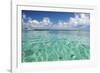 Kayaker in Blue Waters, Southwater Cay, Belize-Cindy Miller Hopkins-Framed Photographic Print