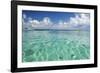 Kayaker in Blue Waters, Southwater Cay, Belize-Cindy Miller Hopkins-Framed Photographic Print