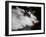 Kayaker in Whitewater, USA-Michael Brown-Framed Premium Photographic Print