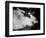 Kayaker in Whitewater, USA-Michael Brown-Framed Photographic Print