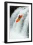 Kayaker Jumping from a Waterfall-Ivan Chudakov-Framed Photographic Print