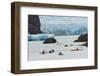 Kayaker's exploring Grey Lake and Grey Glacier, Torres del Paine National Park, Chile, Patagonia-Adam Jones-Framed Photographic Print