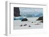 Kayaker's exploring Grey Lake and Grey Glacier, Torres del Paine National Park, Chile, Patagonia-Adam Jones-Framed Photographic Print