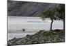 Kayaker's exploring Grey Lake, Torres del Paine National Park, Chile, Patagonia-Adam Jones-Mounted Photographic Print