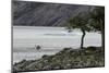 Kayaker's exploring Grey Lake, Torres del Paine National Park, Chile, Patagonia-Adam Jones-Mounted Photographic Print