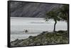 Kayaker's exploring Grey Lake, Torres del Paine National Park, Chile, Patagonia-Adam Jones-Framed Stretched Canvas