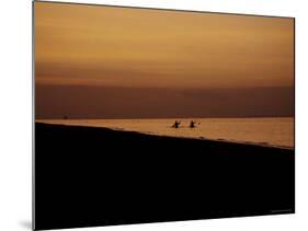 Kayakers at Sunset, Indonesia-Michael Brown-Mounted Photographic Print