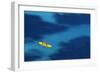 Kayaking, Cala De Sant Vicent, Ibiza, Baleaaric Islands, Spain-Norbert Eisele-Hein-Framed Photographic Print