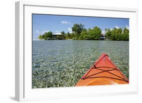 Kayaking in the Shallow Water, Southwater Cay, Stann Creek, Belize-Cindy Miller Hopkins-Framed Photographic Print