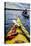 Kayaking Lake Superior-Steve Gadomski-Stretched Canvas