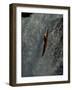 Kayaking, Mexico-Nicolas Brown-Framed Photographic Print