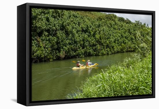 Kayaking on the Wailua River, Kauai, Hawaii, United States of America, Pacific-Michael DeFreitas-Framed Stretched Canvas