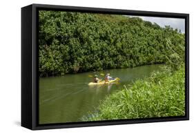 Kayaking on the Wailua River, Kauai, Hawaii, United States of America, Pacific-Michael DeFreitas-Framed Stretched Canvas