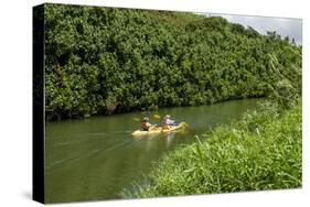 Kayaking on the Wailua River, Kauai, Hawaii, United States of America, Pacific-Michael DeFreitas-Stretched Canvas