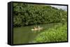Kayaking on the Wailua River, Kauai, Hawaii, United States of America, Pacific-Michael DeFreitas-Framed Stretched Canvas