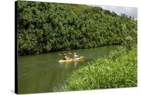 Kayaking on the Wailua River, Kauai, Hawaii, United States of America, Pacific-Michael DeFreitas-Stretched Canvas