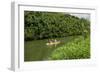 Kayaking on the Wailua River, Kauai, Hawaii, United States of America, Pacific-Michael DeFreitas-Framed Photographic Print