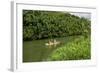 Kayaking on the Wailua River, Kauai, Hawaii, United States of America, Pacific-Michael DeFreitas-Framed Photographic Print