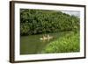 Kayaking on the Wailua River, Kauai, Hawaii, United States of America, Pacific-Michael DeFreitas-Framed Photographic Print