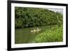 Kayaking on the Wailua River, Kauai, Hawaii, United States of America, Pacific-Michael DeFreitas-Framed Photographic Print