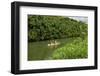 Kayaking on the Wailua River, Kauai, Hawaii, United States of America, Pacific-Michael DeFreitas-Framed Photographic Print