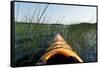 Kayaking Through Reeds BWCA-Steve Gadomski-Framed Stretched Canvas