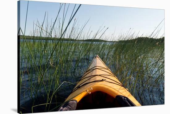 Kayaking Through Reeds BWCA-Steve Gadomski-Stretched Canvas