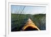 Kayaking Through Reeds BWCA-Steve Gadomski-Framed Photographic Print