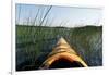 Kayaking Through Reeds BWCA-Steve Gadomski-Framed Photographic Print