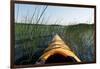 Kayaking Through Reeds BWCA-Steve Gadomski-Framed Photographic Print