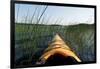 Kayaking Through Reeds BWCA-Steve Gadomski-Framed Photographic Print