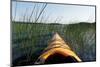 Kayaking Through Reeds BWCA-Steve Gadomski-Mounted Photographic Print