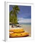 Kayaks and Beach, Shangri-La Fijian Resort, Yanuca Island, Coral Coast, Viti Levu, Fiji-David Wall-Framed Premium Photographic Print