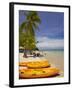 Kayaks and Beach, Shangri-La Fijian Resort, Yanuca Island, Coral Coast, Viti Levu, Fiji-David Wall-Framed Premium Photographic Print