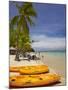 Kayaks and Beach, Shangri-La Fijian Resort, Yanuca Island, Coral Coast, Viti Levu, Fiji-David Wall-Mounted Premium Photographic Print