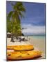 Kayaks and Beach, Shangri-La Fijian Resort, Yanuca Island, Coral Coast, Viti Levu, Fiji-David Wall-Mounted Photographic Print