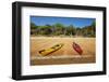 Kayaks and campsite, Te Pukatea Bay, Abel Tasman NP, Nelson Region, South Island, New Zealand-David Wall-Framed Photographic Print