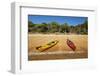 Kayaks and campsite, Te Pukatea Bay, Abel Tasman NP, Nelson Region, South Island, New Zealand-David Wall-Framed Photographic Print