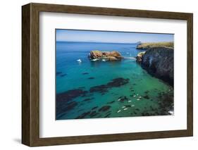 Kayaks and sailboats at Scorpion Cove, Santa Cruz Island, Channel Islands NP, California, USA.-Russ Bishop-Framed Photographic Print