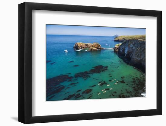 Kayaks and sailboats at Scorpion Cove, Santa Cruz Island, Channel Islands NP, California, USA.-Russ Bishop-Framed Photographic Print